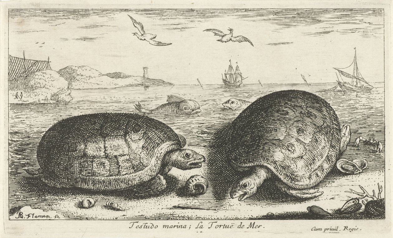 Deux tortues sur la plage - Albert Flamen