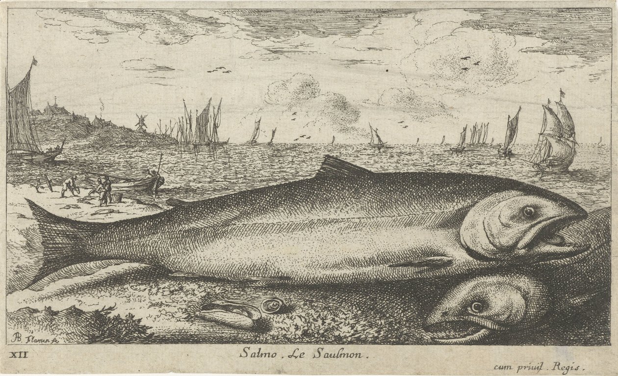 Deux saumons sur la plage (Vissen en andere zeedieren - zoutwater eerste reeks, Diverses Especes de Poissons de mer) - Albert Flamen