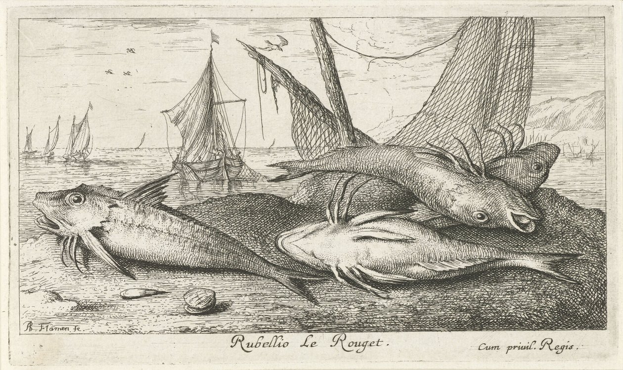 Quatre rougets sur la plage (Rubellio Le Rouget.) (Vissen en andere zeedieren - zoutwater tweede reeks, Poissons de mer) - Albert Flamen