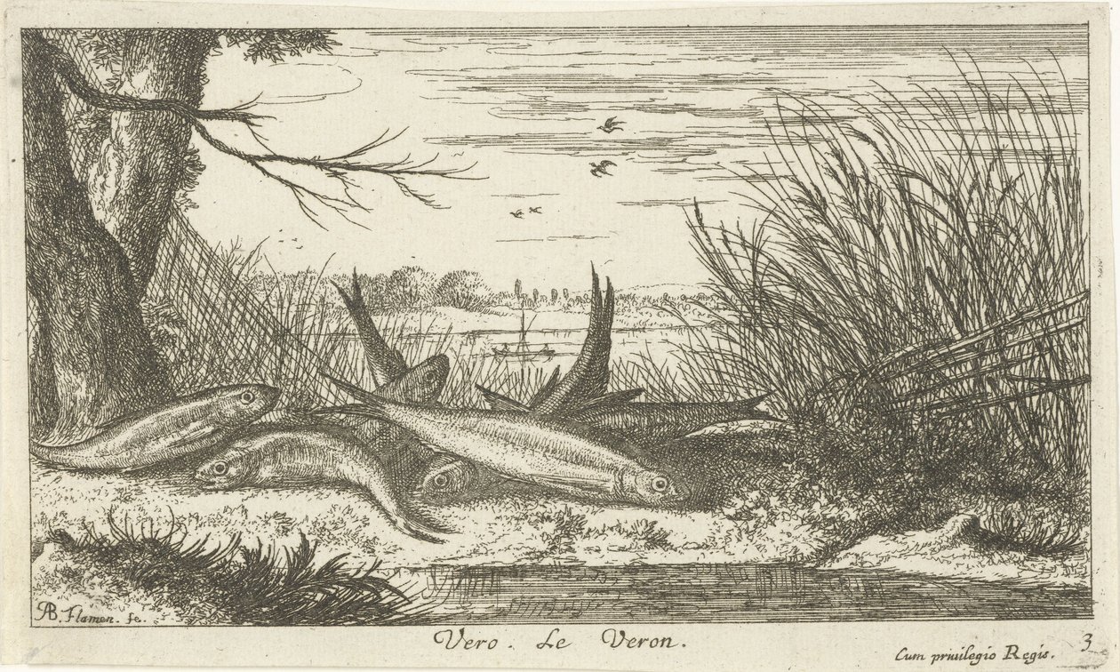 Poissons sur une rive de rivière - Albert Flamen