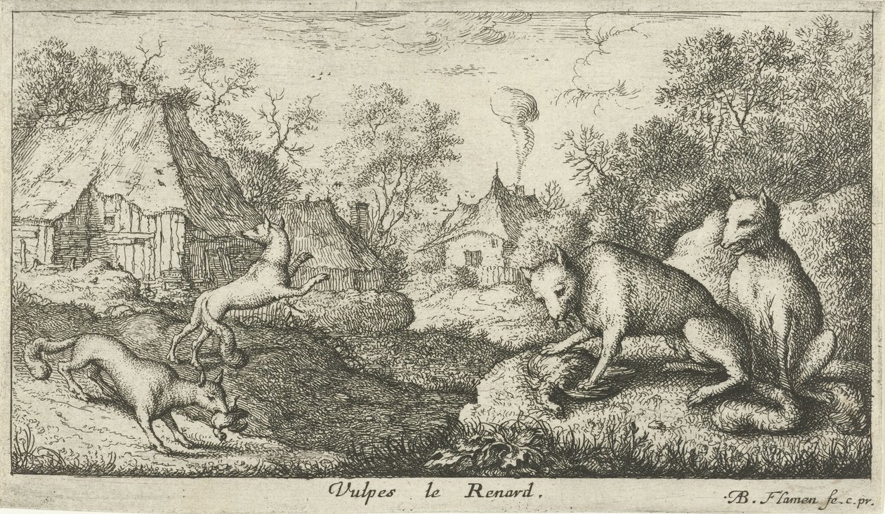 Renards (Vulpes le Renard) (Verschillende diersoorten) - Albert Flamen