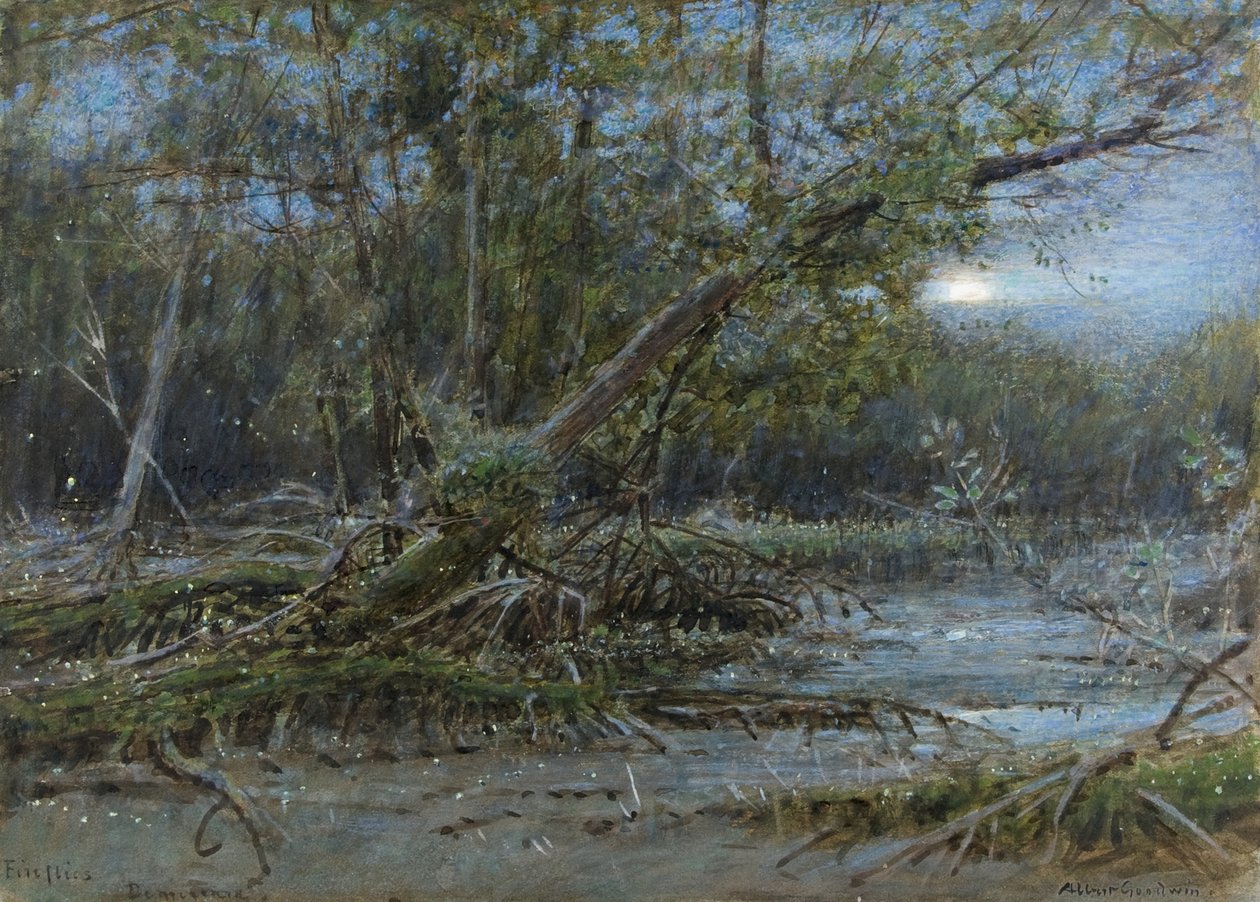 Luciole, Demerera, vers 1902 - Albert Goodwin