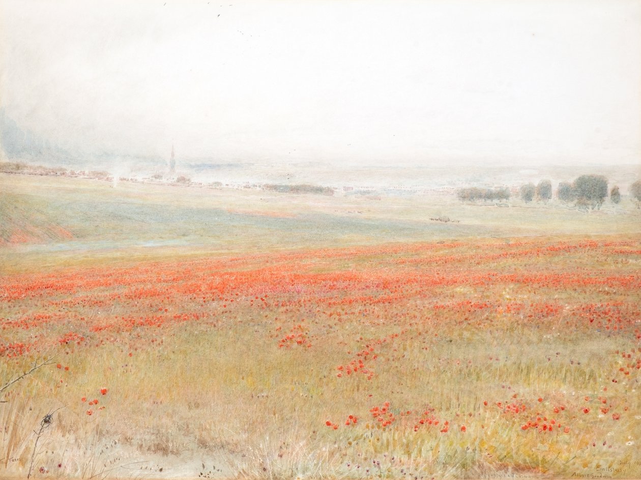Les Ivraies. Coquelicots dans le blé. Salisbury - Albert Goodwin