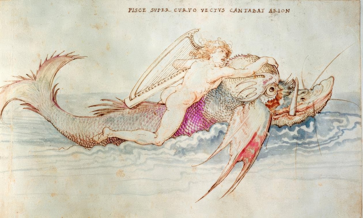 Arion Sauvé par un Dauphin - Albrecht Dürer
