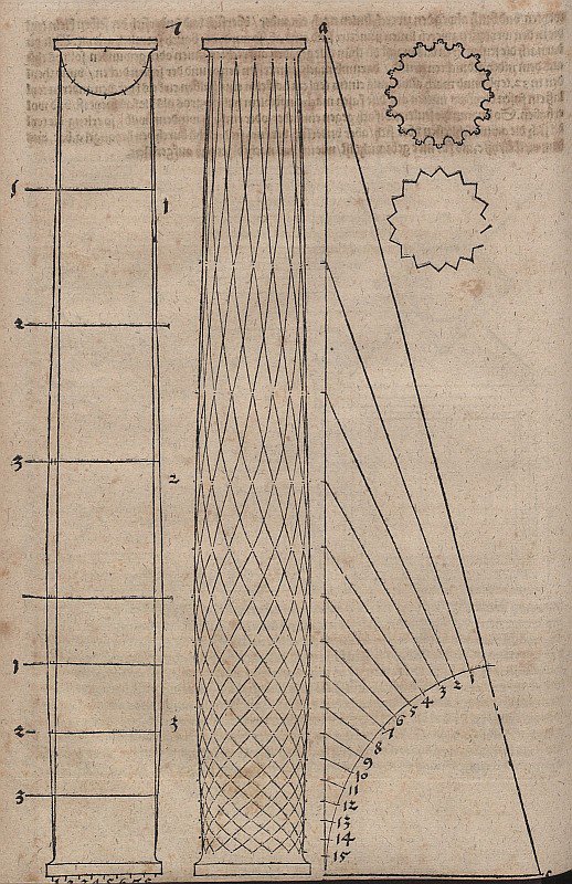 Forme de colonne renflée et sections de colonnes - Albrecht Dürer