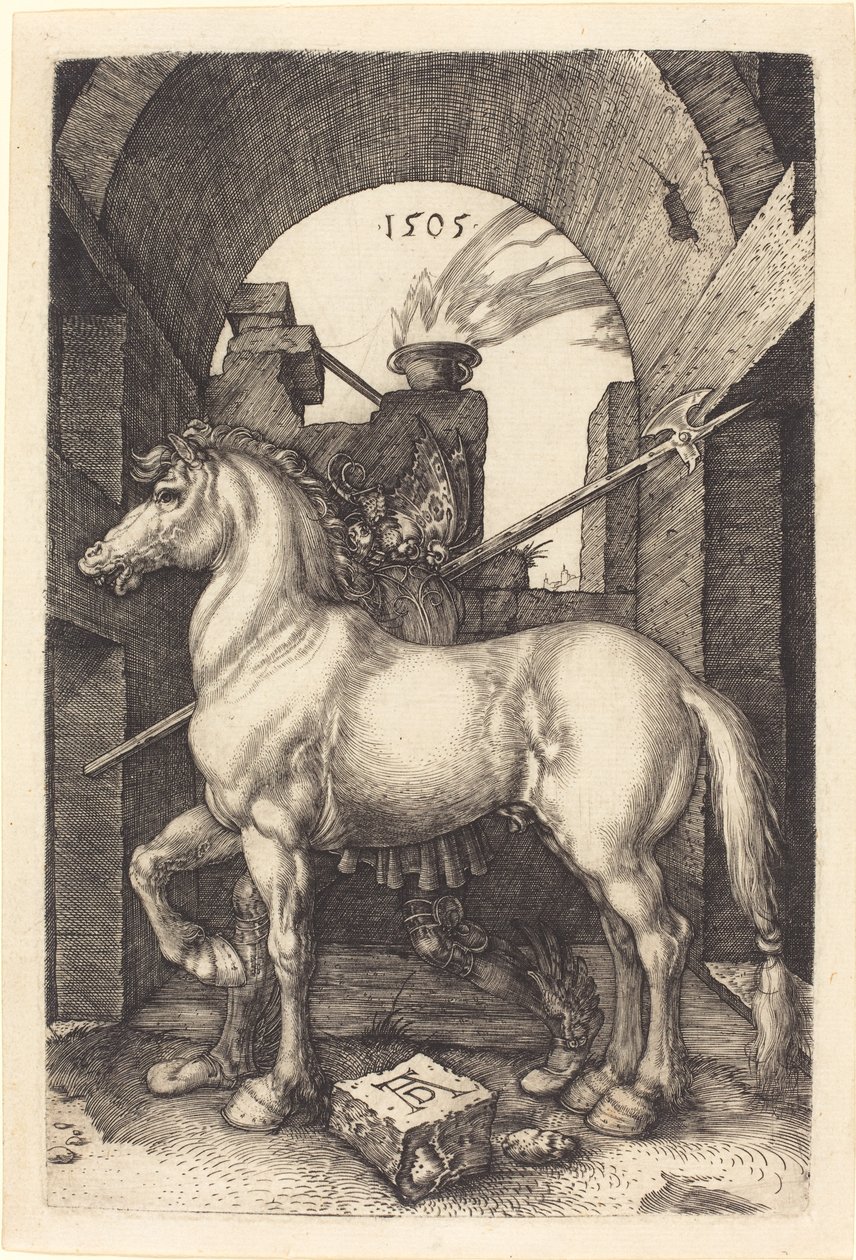 Petit cheval - Albrecht Dürer