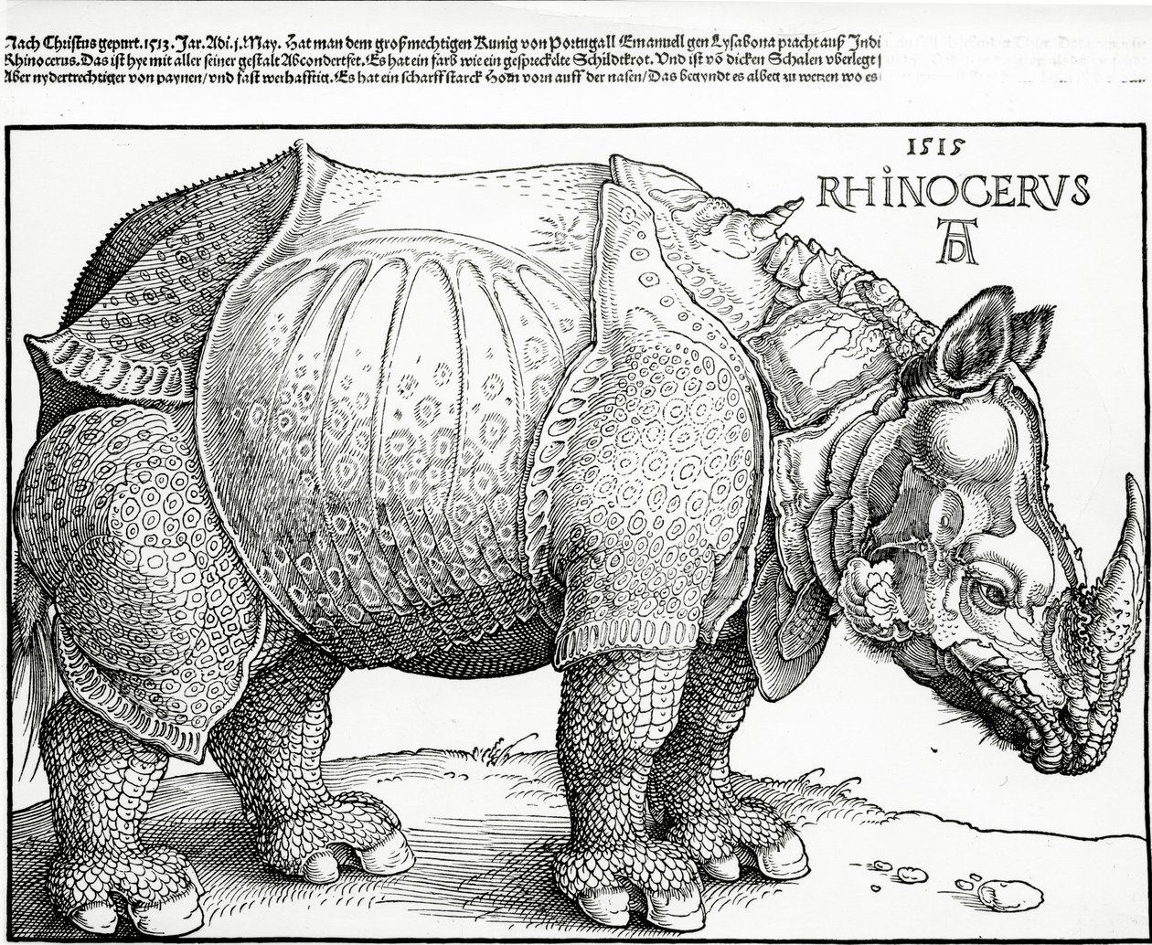 Le Rhinocéros, 1515 - Albrecht Dürer