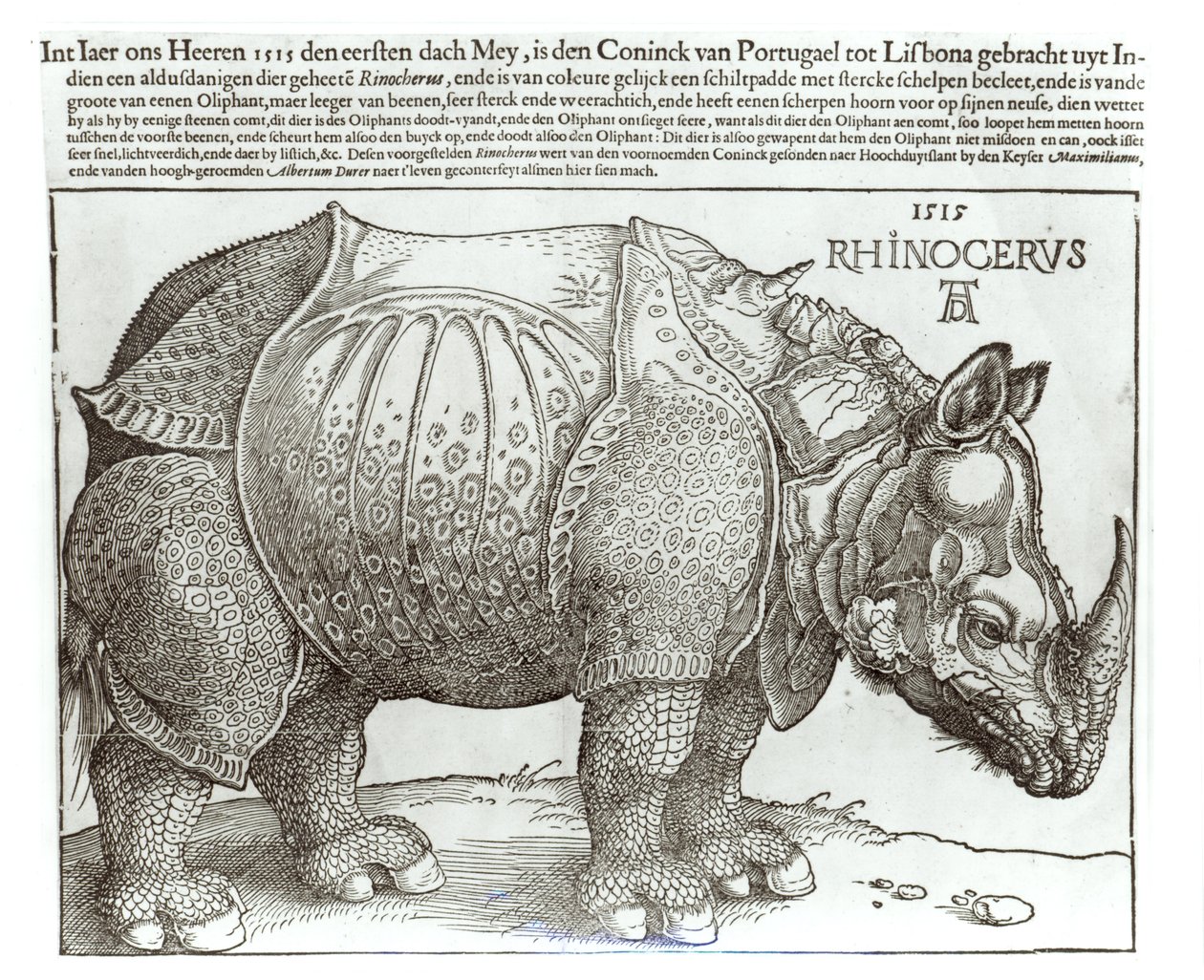 Rhinocéros, gravure offerte à Maximilien I (1459-1519) par le roi de Lisbonne (1495-1521), 1515 - Albrecht Dürer
