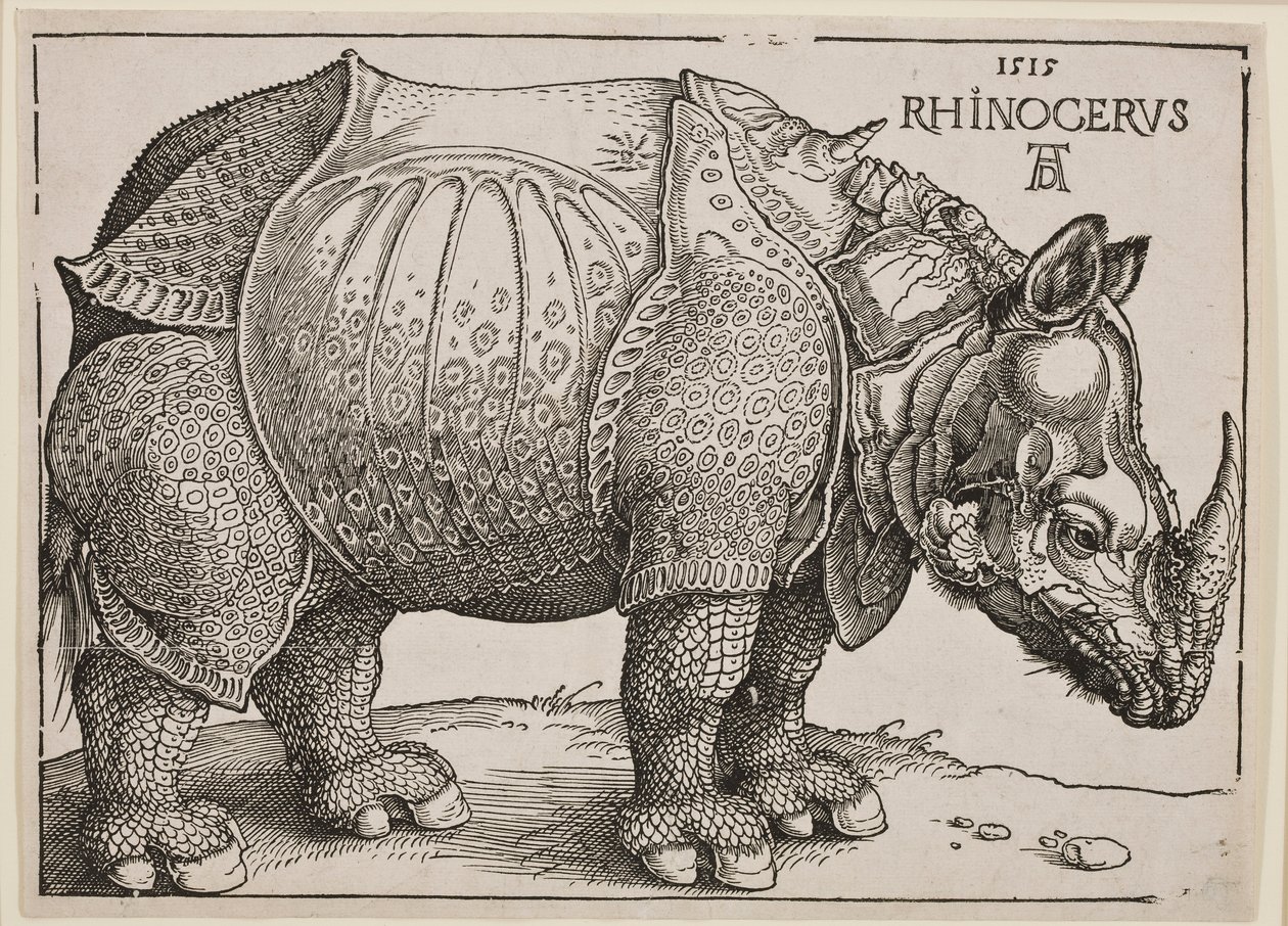 Le Rhinocéros, 1515 - Albrecht Dürer