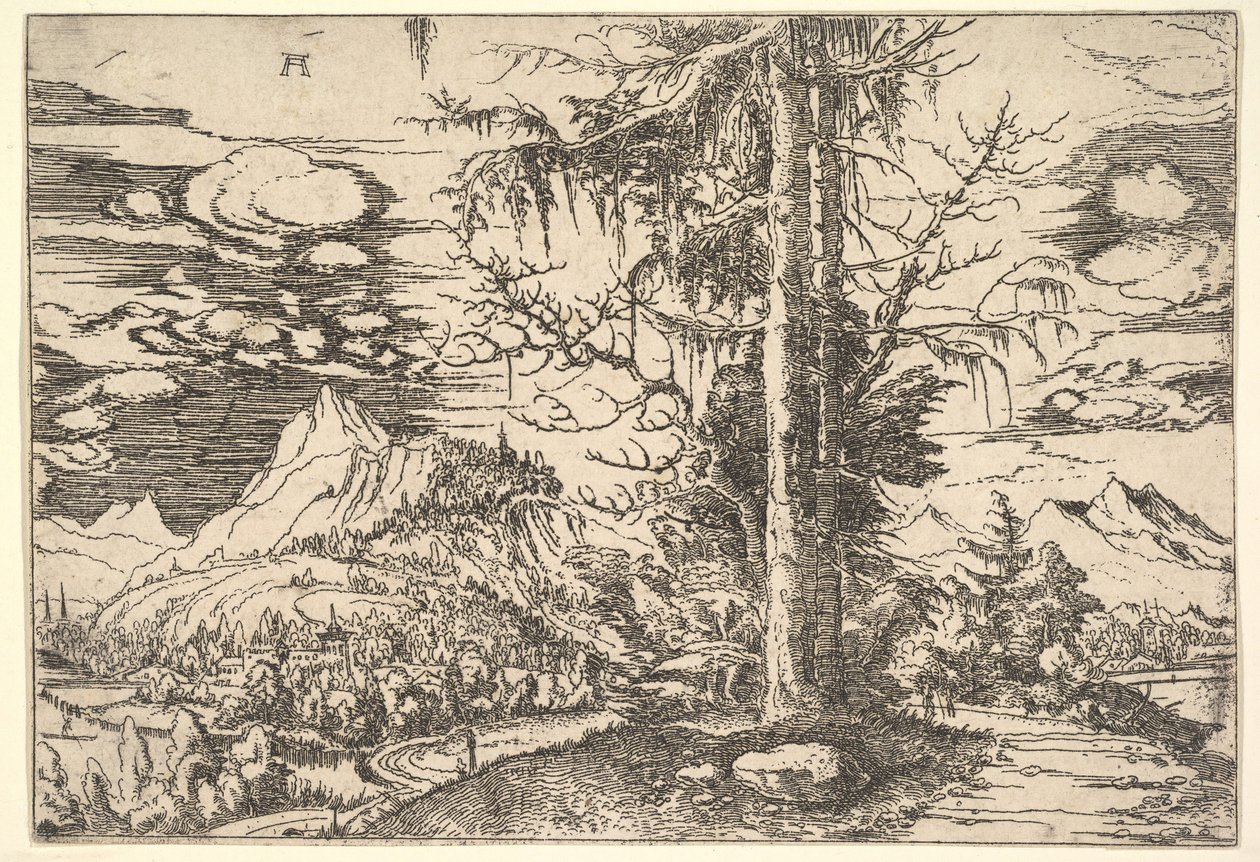 Paysage avec un double épicéa - Albrecht Altdorfer