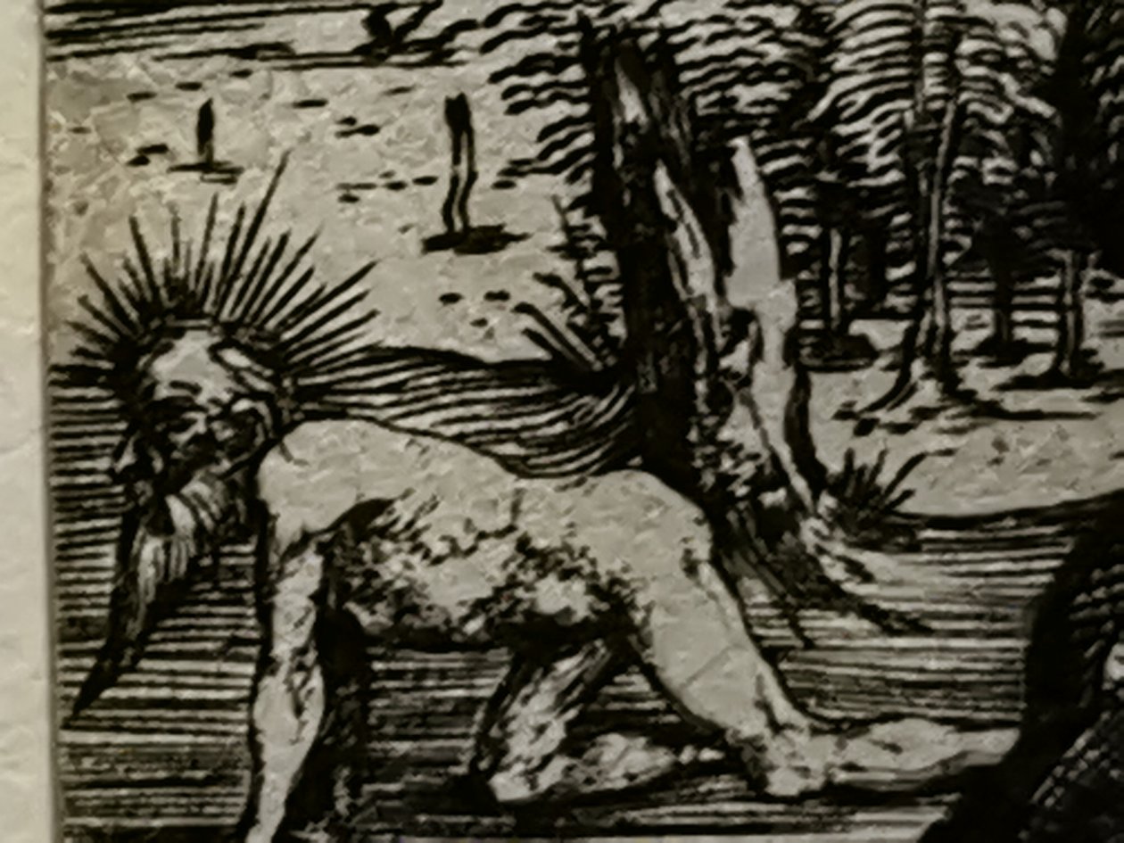 2021 - Deuxième lot de juillet Mateus2019 (72) - Albrecht Dürer