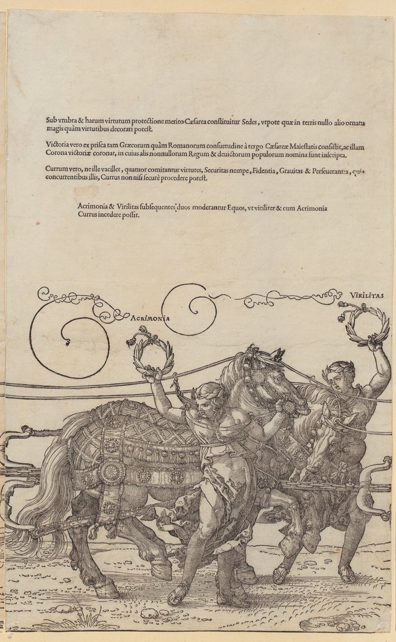 Acrimonia, planche 6 de la série « Le grand char triomphal » - Albrecht Dürer