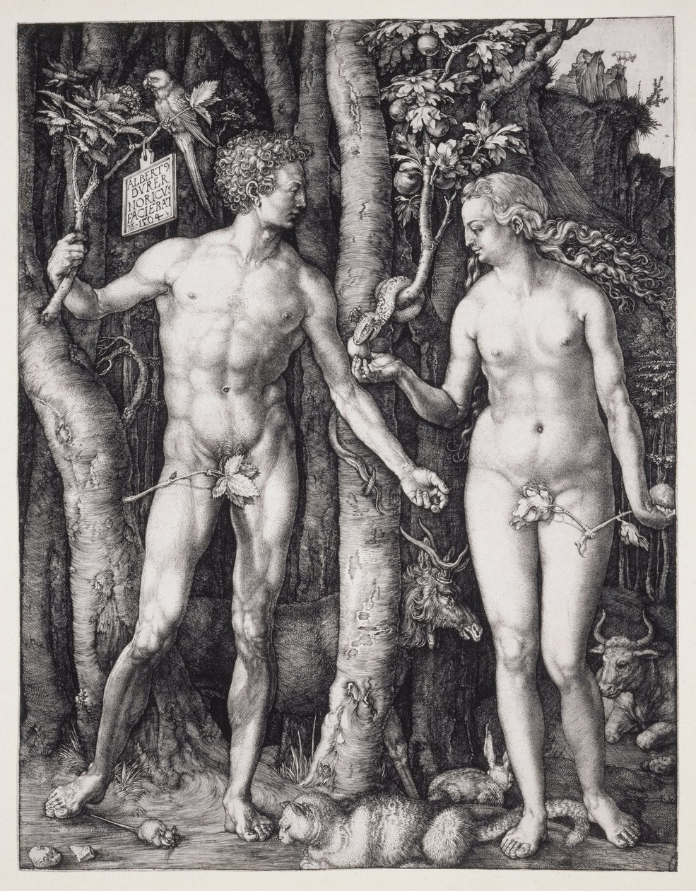 Adam et Eve - Albrecht Dürer