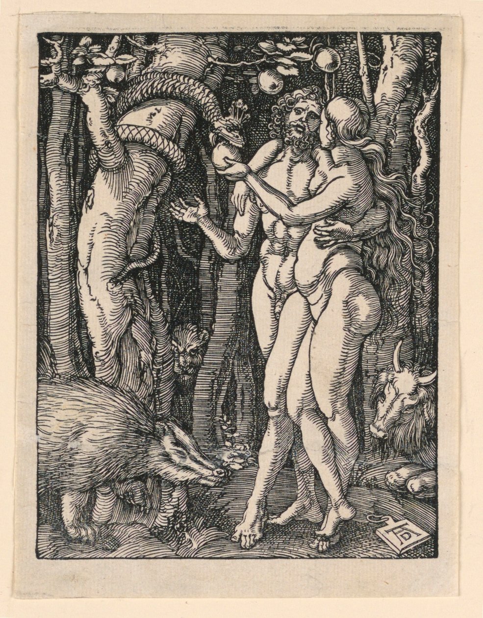 Adam et Ève, de la série La Petite Passion - Albrecht Dürer