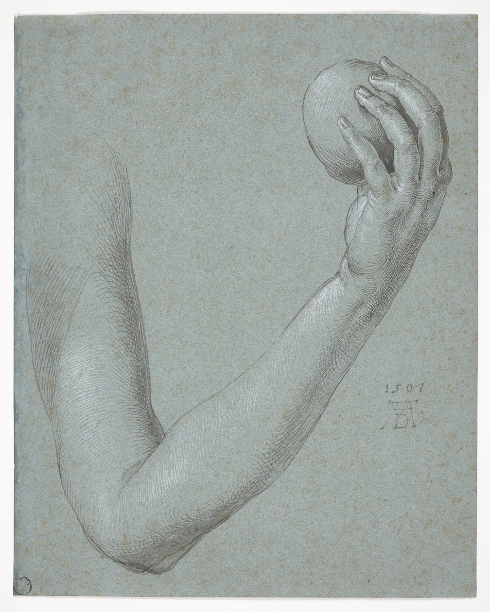 Le bras d