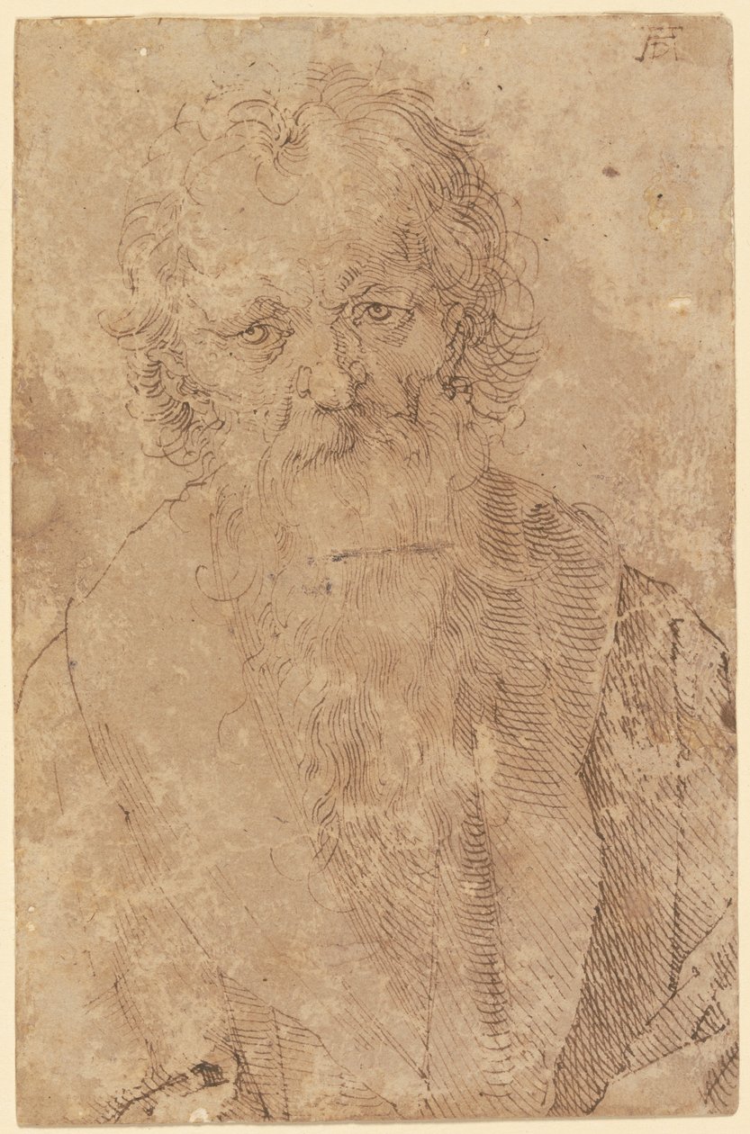 Vieil homme barbu - Albrecht Dürer