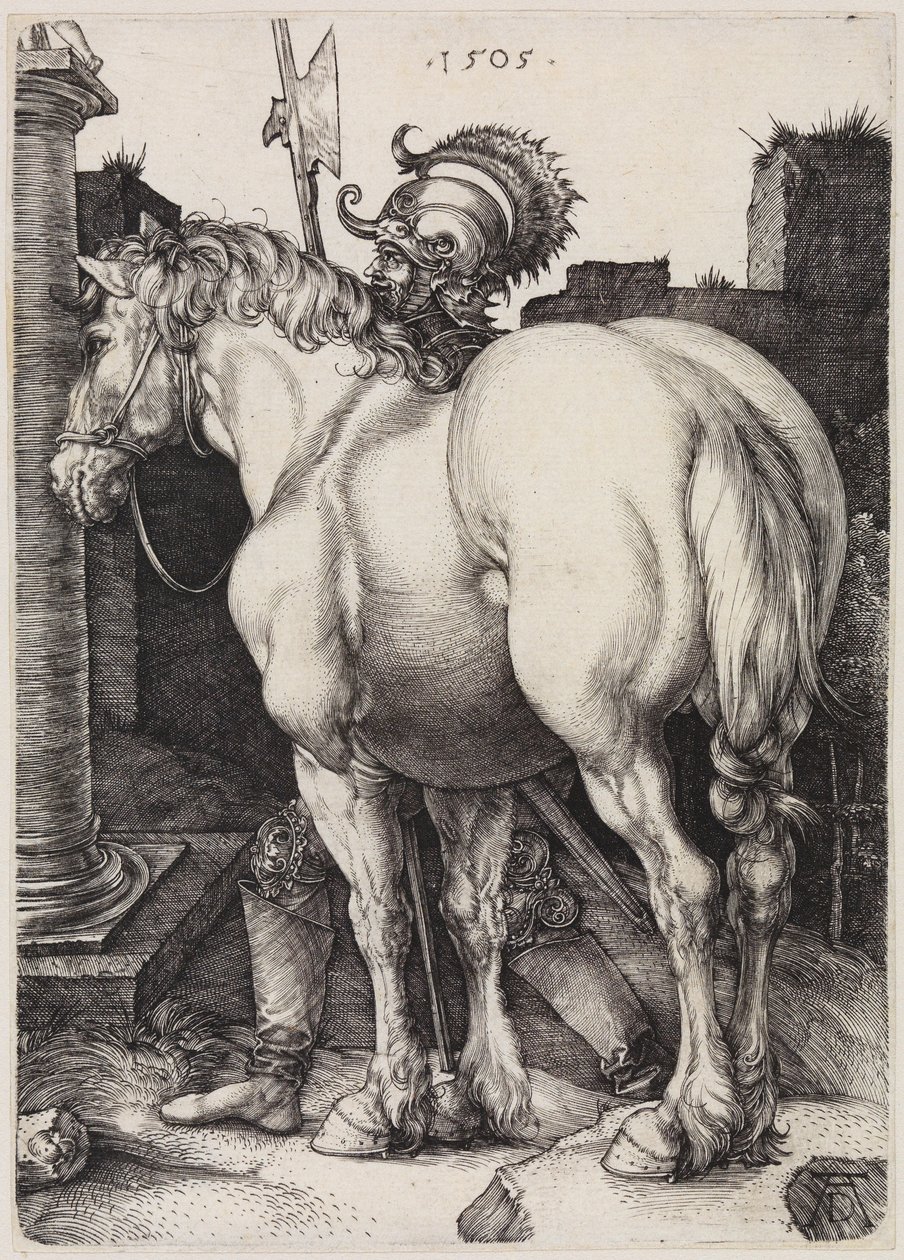 Le grand cheval - Albrecht Dürer