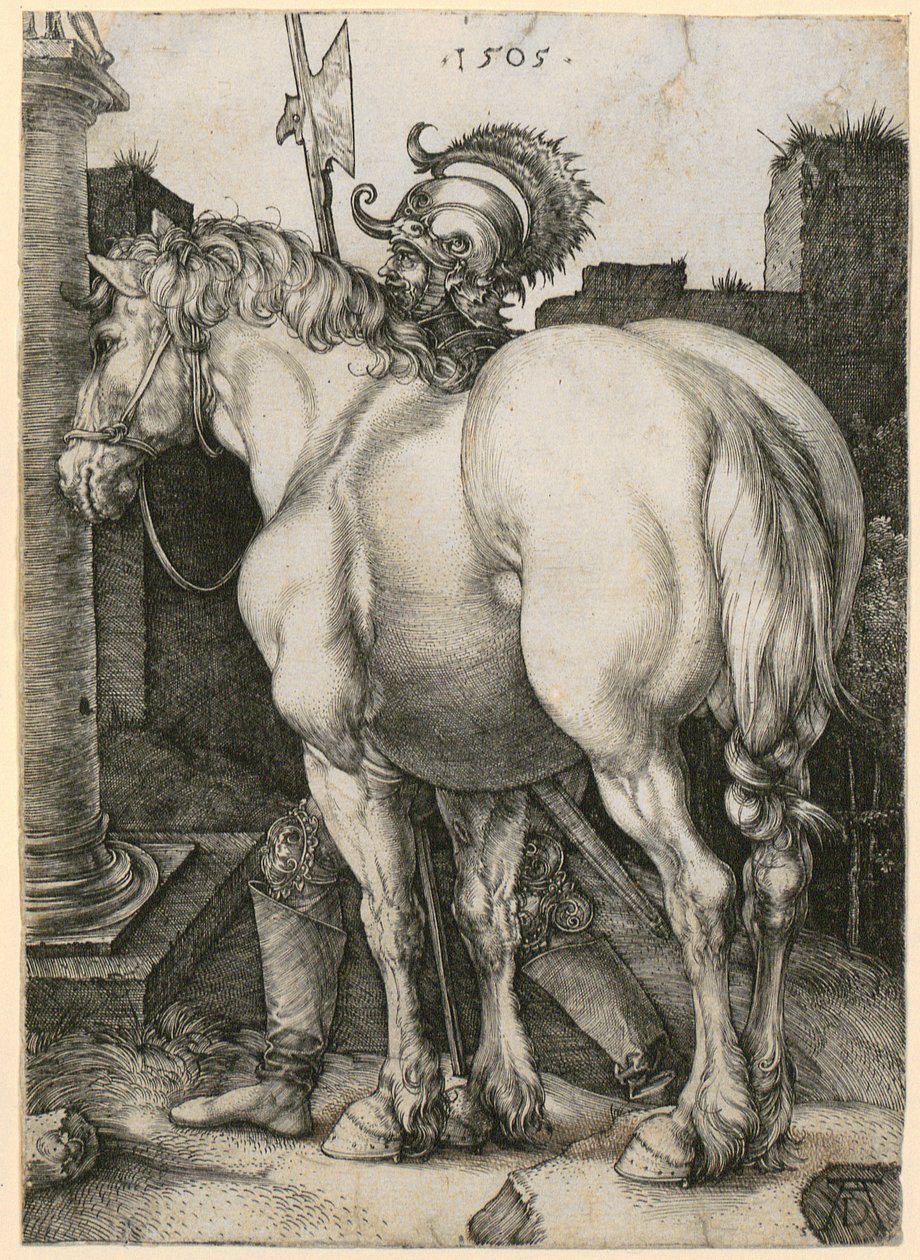 Le Grand Cheval - Albrecht Dürer