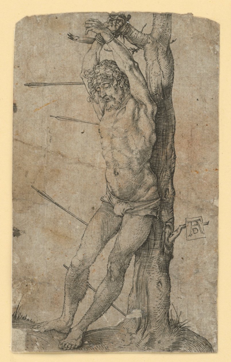 Saint Sébastien attaché à un arbre - Albrecht Dürer