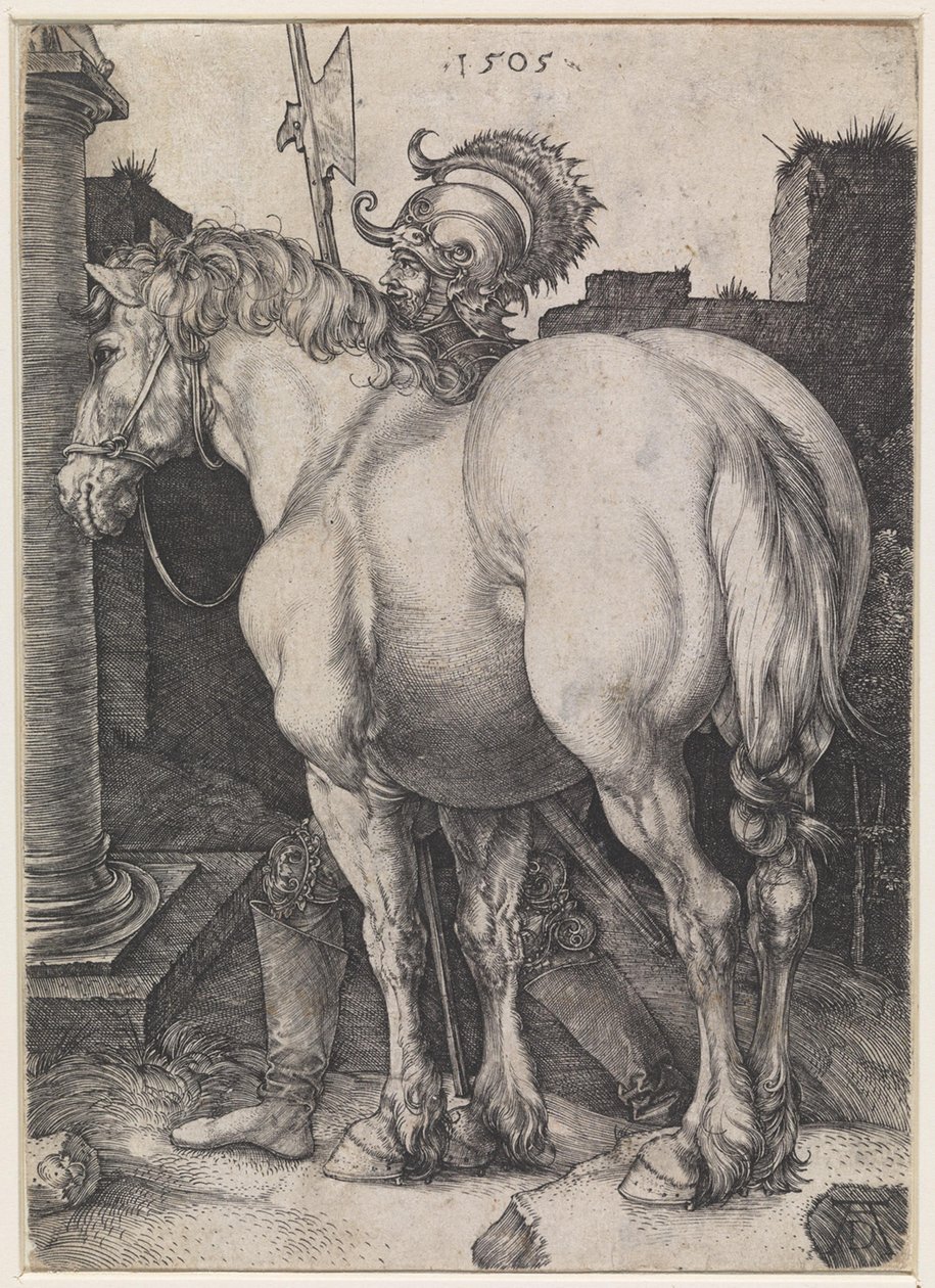 Le grand cheval - Albrecht Dürer