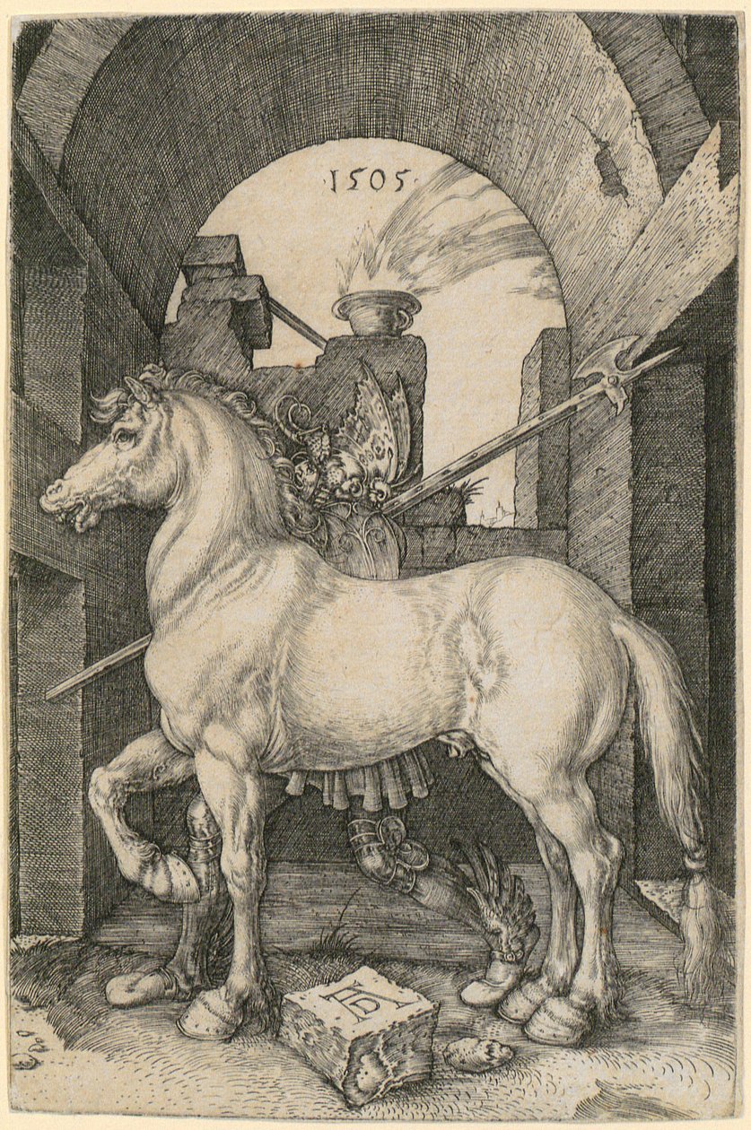 Petit cheval - Albrecht Dürer