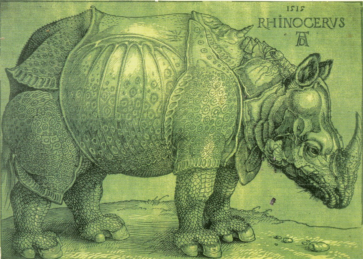 Latin :  Rhinocerus Le Rhinocéros - Albrecht Dürer