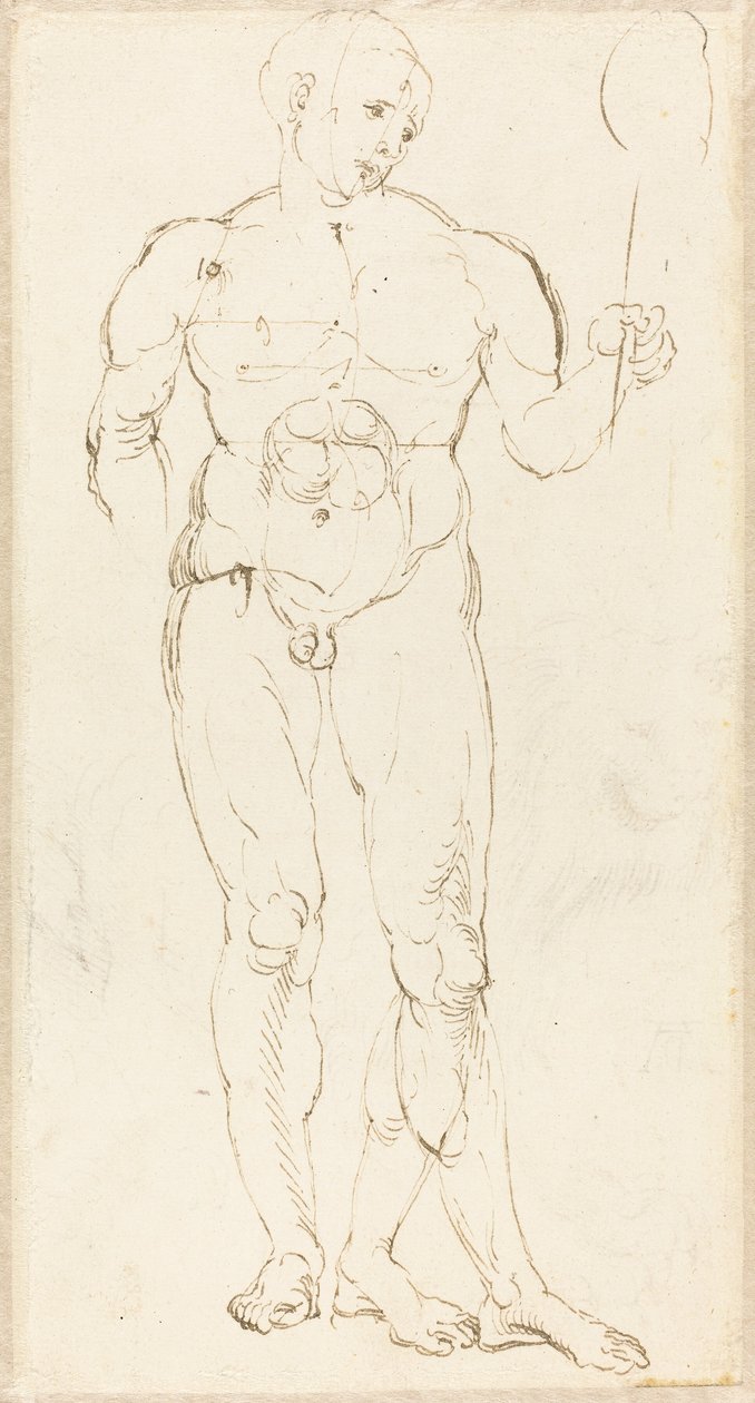 Nu masculin tenant un miroir - Albrecht Dürer