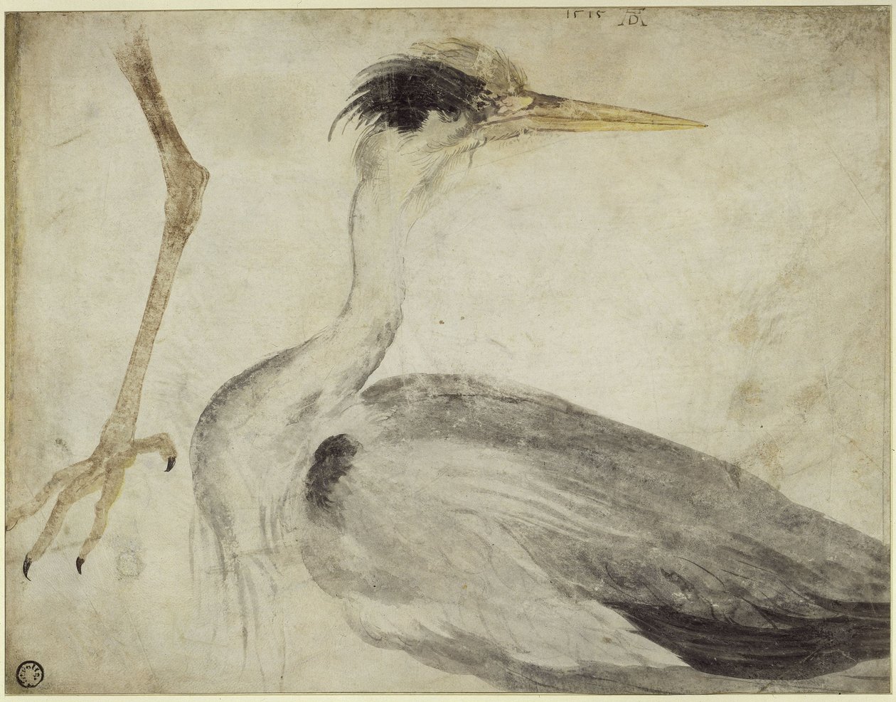 Héron - Albrecht Dürer