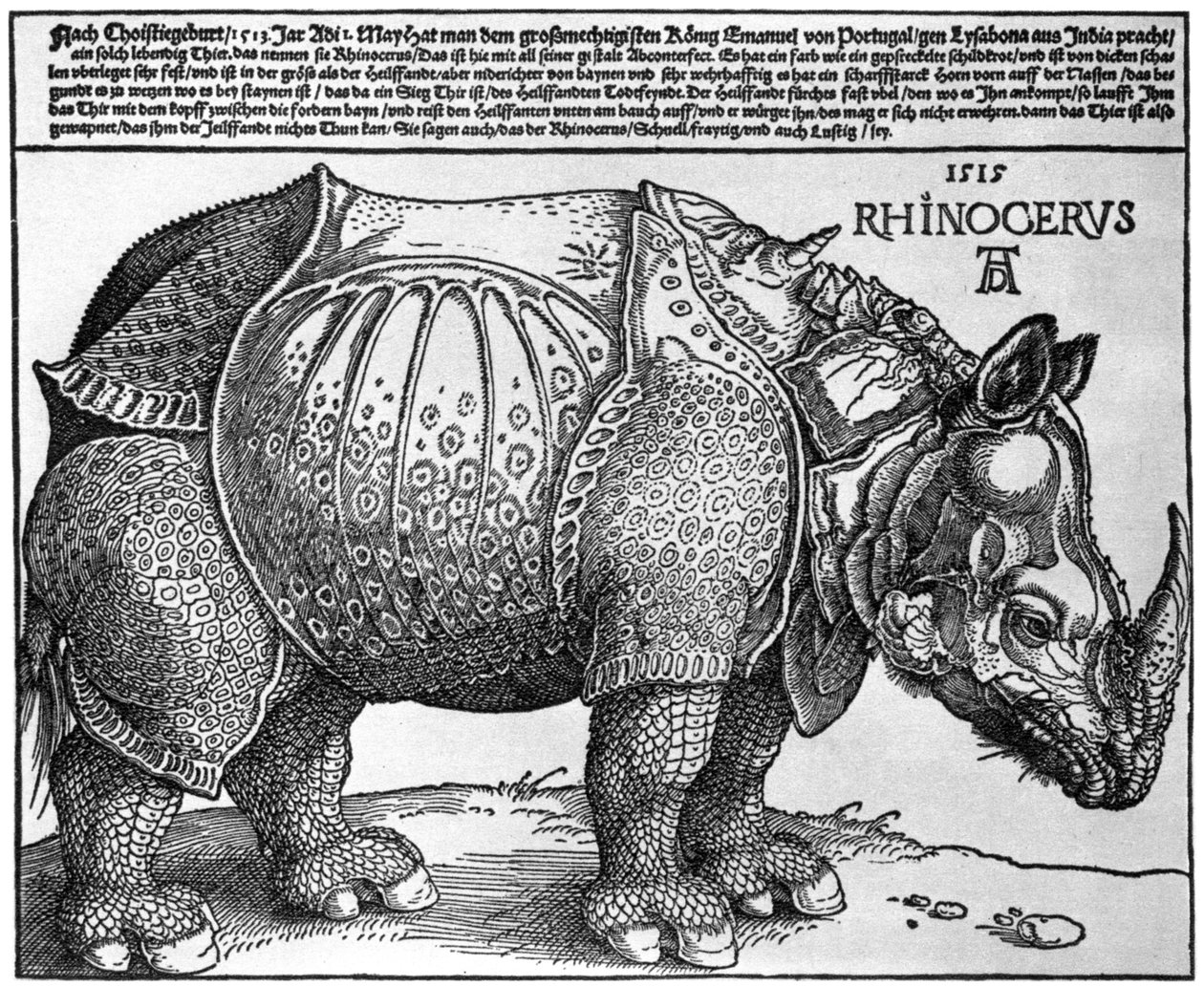 Rhinocéros, impression donnée à Maximilien Ier par le roi de Lisbonne - Albrecht Dürer