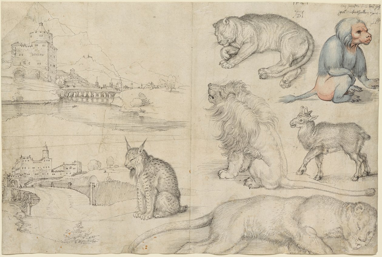 Croquis d