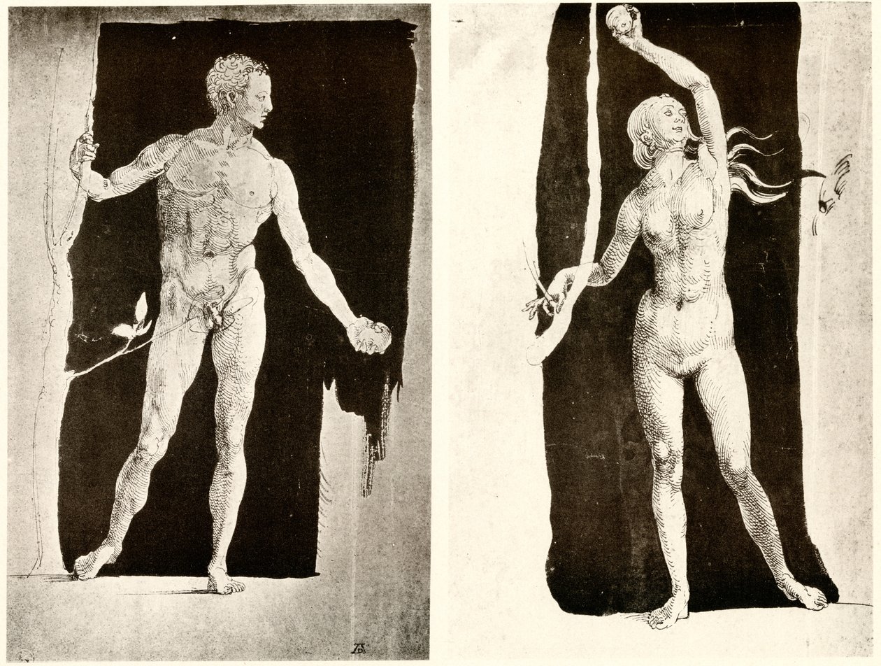 Études sur Adam et Ève - Albrecht Dürer