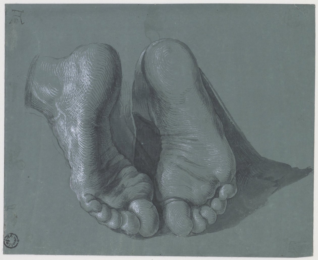 Étude de deux pieds, vers 1508 - Albrecht Dürer