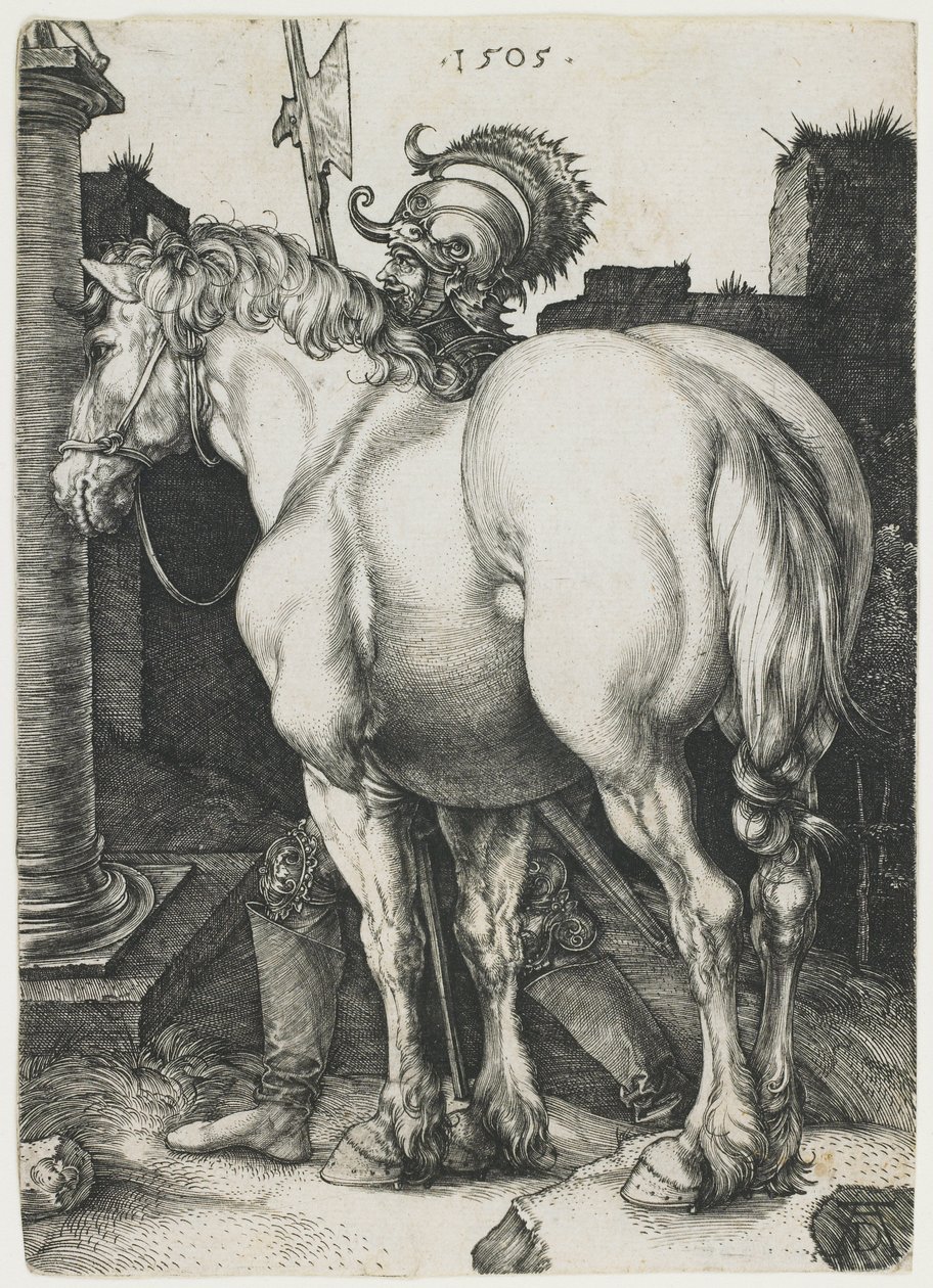 Le Grand Cheval - Albrecht Dürer