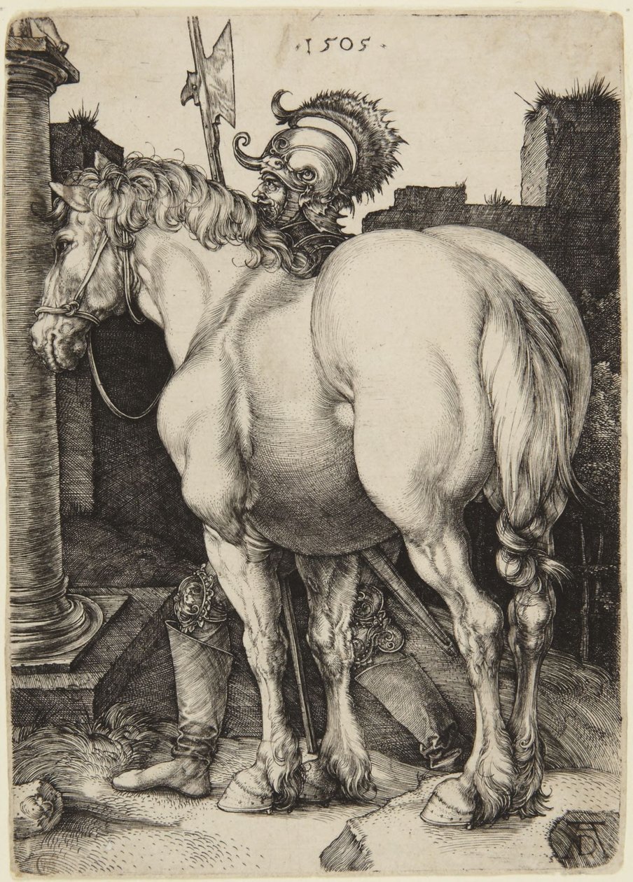 Le grand cheval - Albrecht Dürer