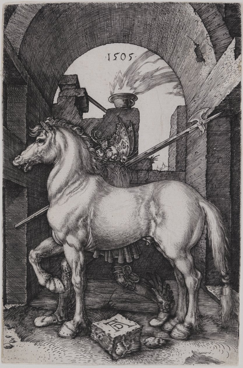 Le petit cheval - Albrecht Dürer