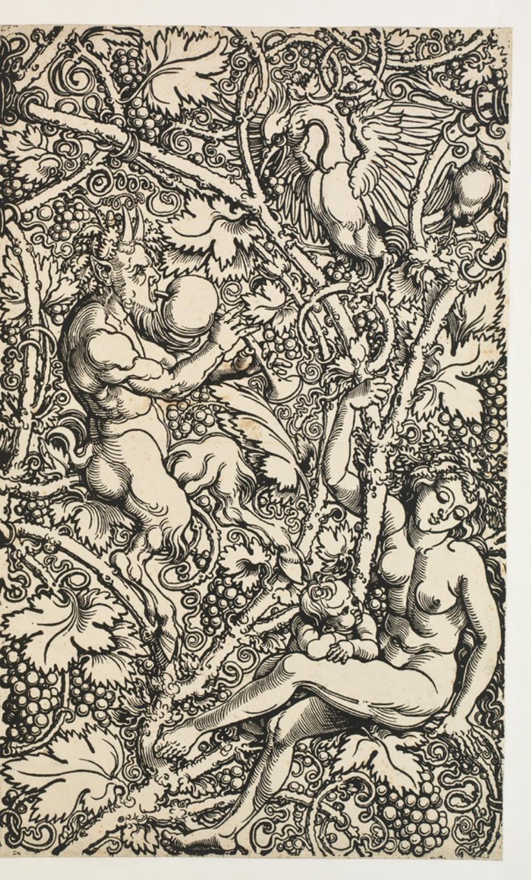 Deux dessins pour tapisserie avec famille de satyres - Albrecht Dürer