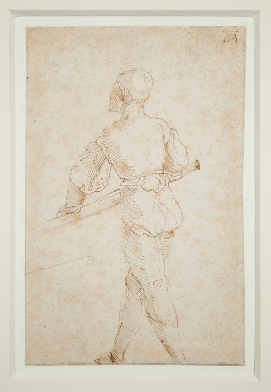 Un homme avec une rame - Albrecht Dürer