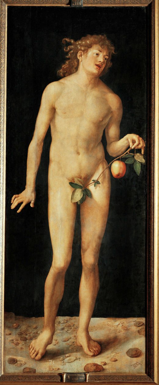Adam - Albrecht Dürer or Duerer