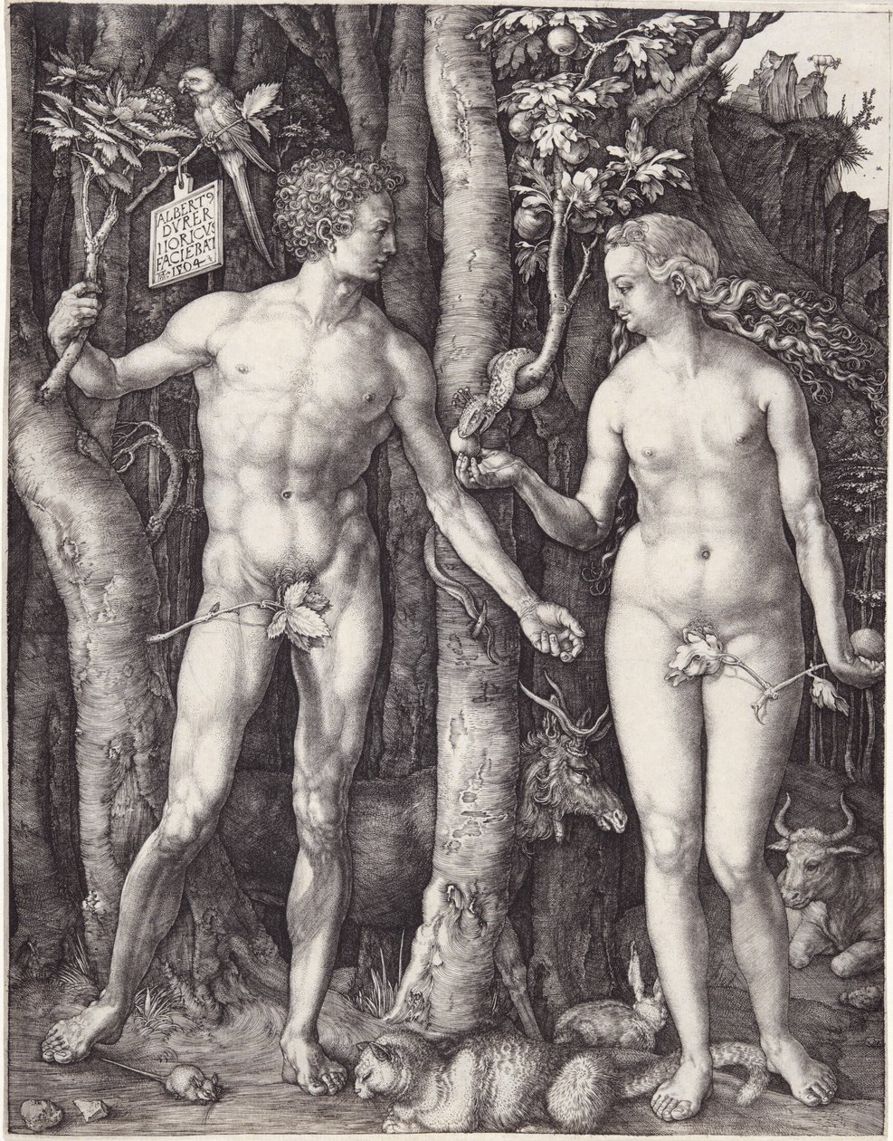 Adam et Ève, pub. 1504 (gravure) - Albrecht Dürer