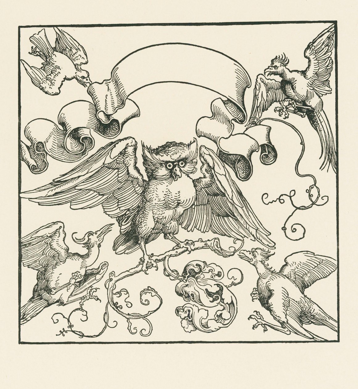 Un hibou attaqué par quatre autres oiseaux, vers 1515 (gravure sur bois) - Albrecht Dürer or Duerer