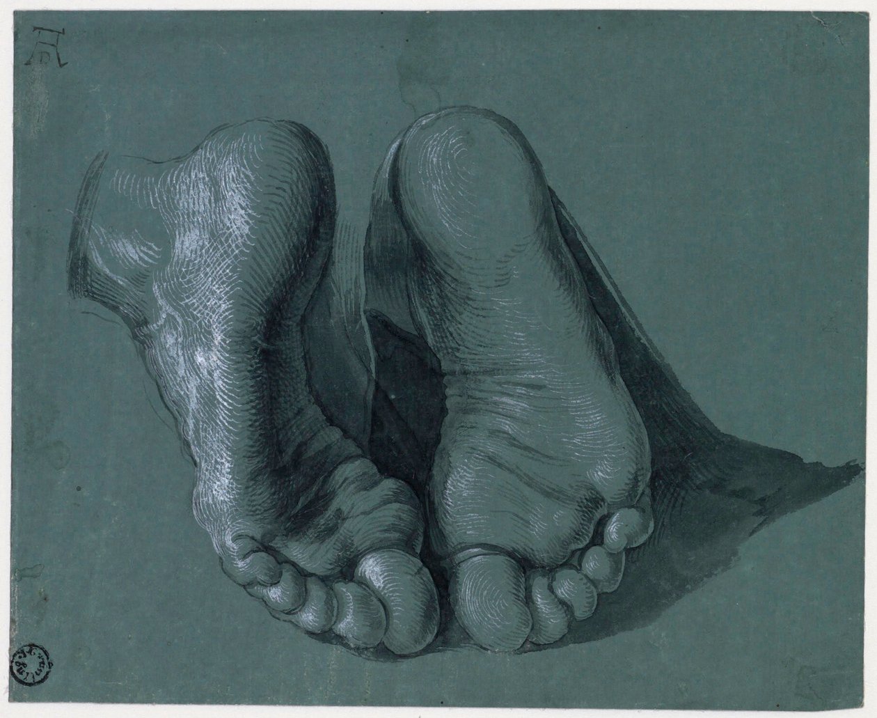 Étude de pieds - Dessin de Albrecht Dürer - Albrecht Dürer