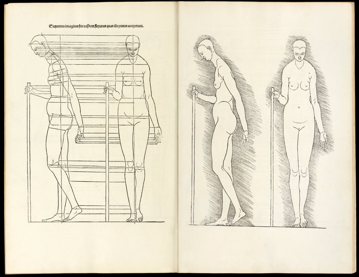 Femme avec bâton, gravure anatomique de Hierinn sind begriffen vier bücher von menschlicher Proportion, 1528 - Albrecht Dürer