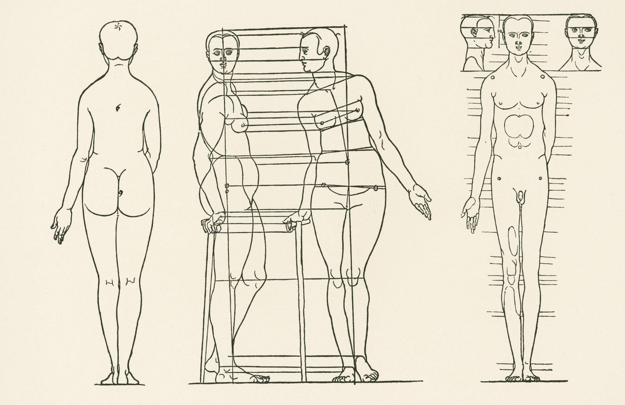 Illustration du Traité des principes de proportion d