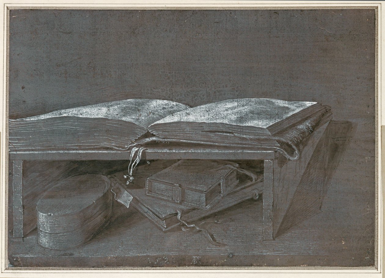 Livre ouvert (dessin au pinceau sur papier brun) - Albrecht Dürer or Duerer