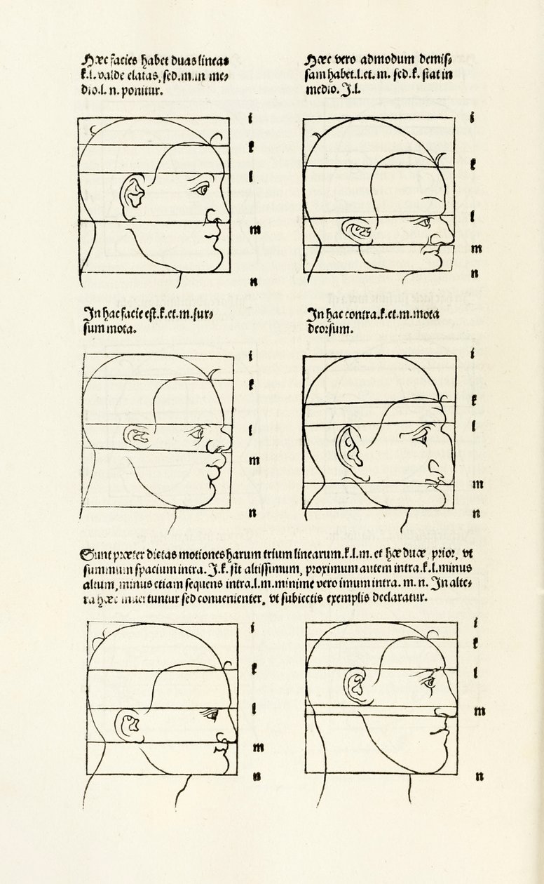 Proportions de la tête humaine de 