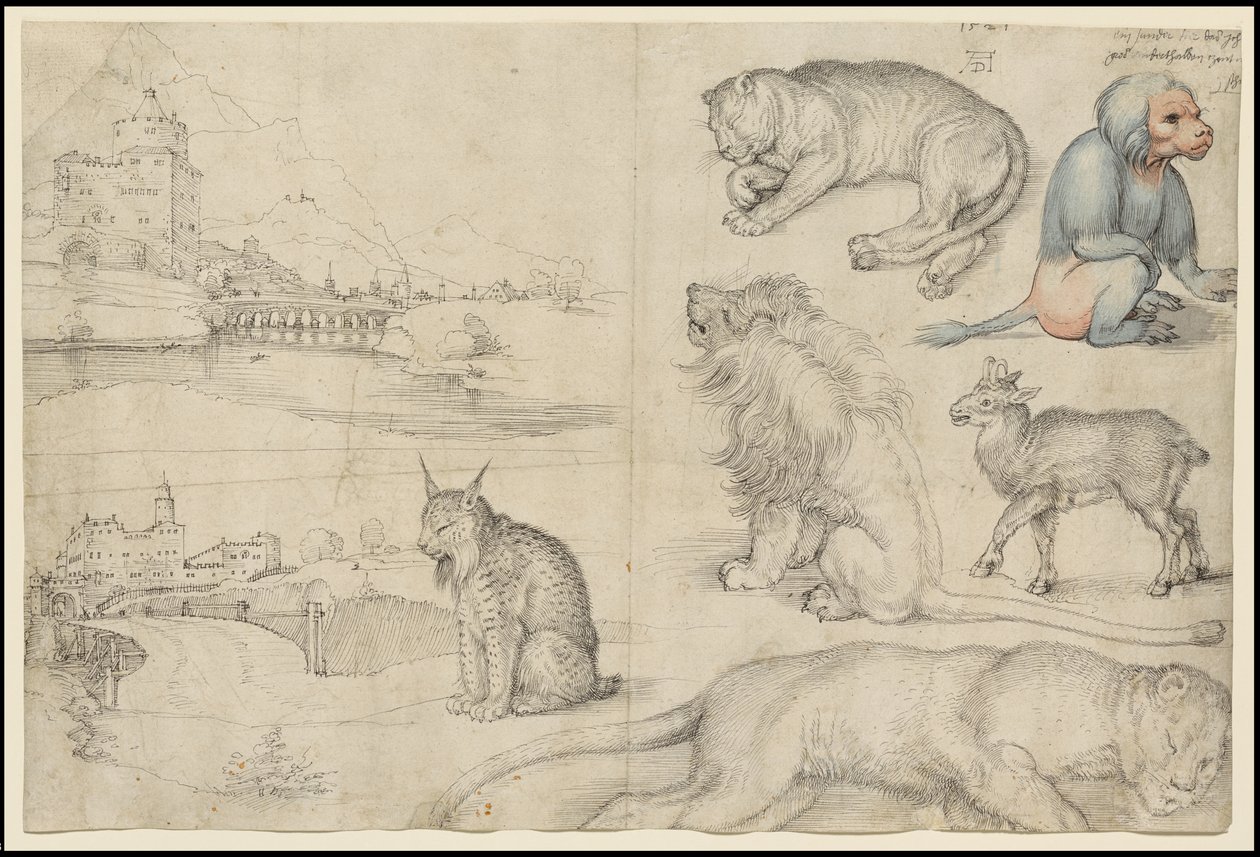 Croquis d