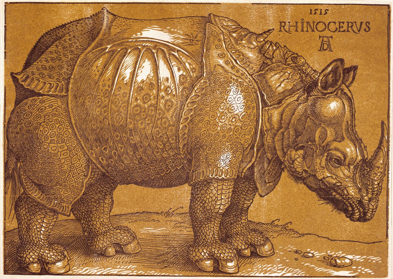 Le rhinocéros - Albrecht Dürer or Duerer