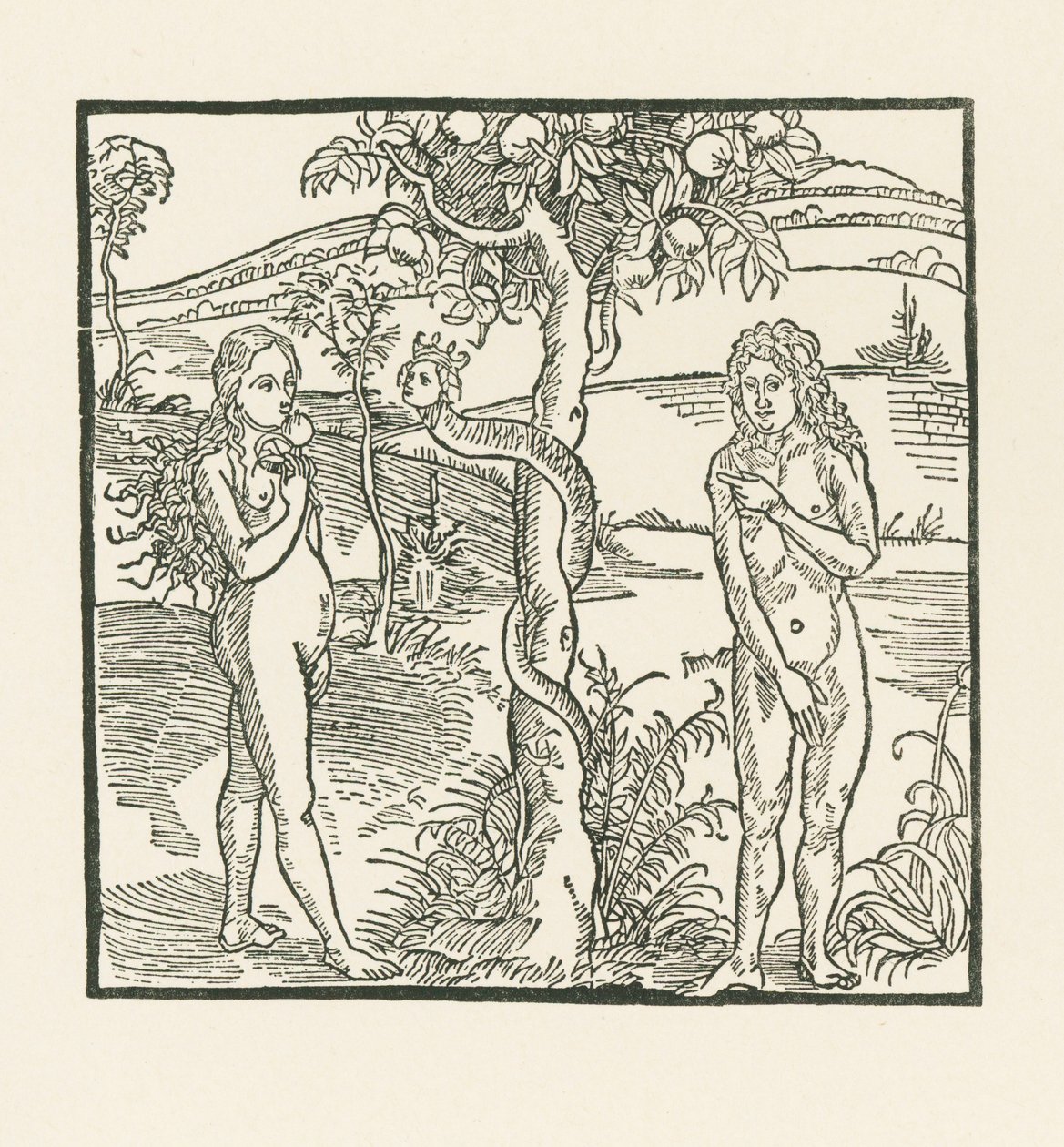 La chute. Illustration de " Der Ritter von Turn " , vers 1493-93 (gravure sur bois) - Albrecht Dürer or Duerer