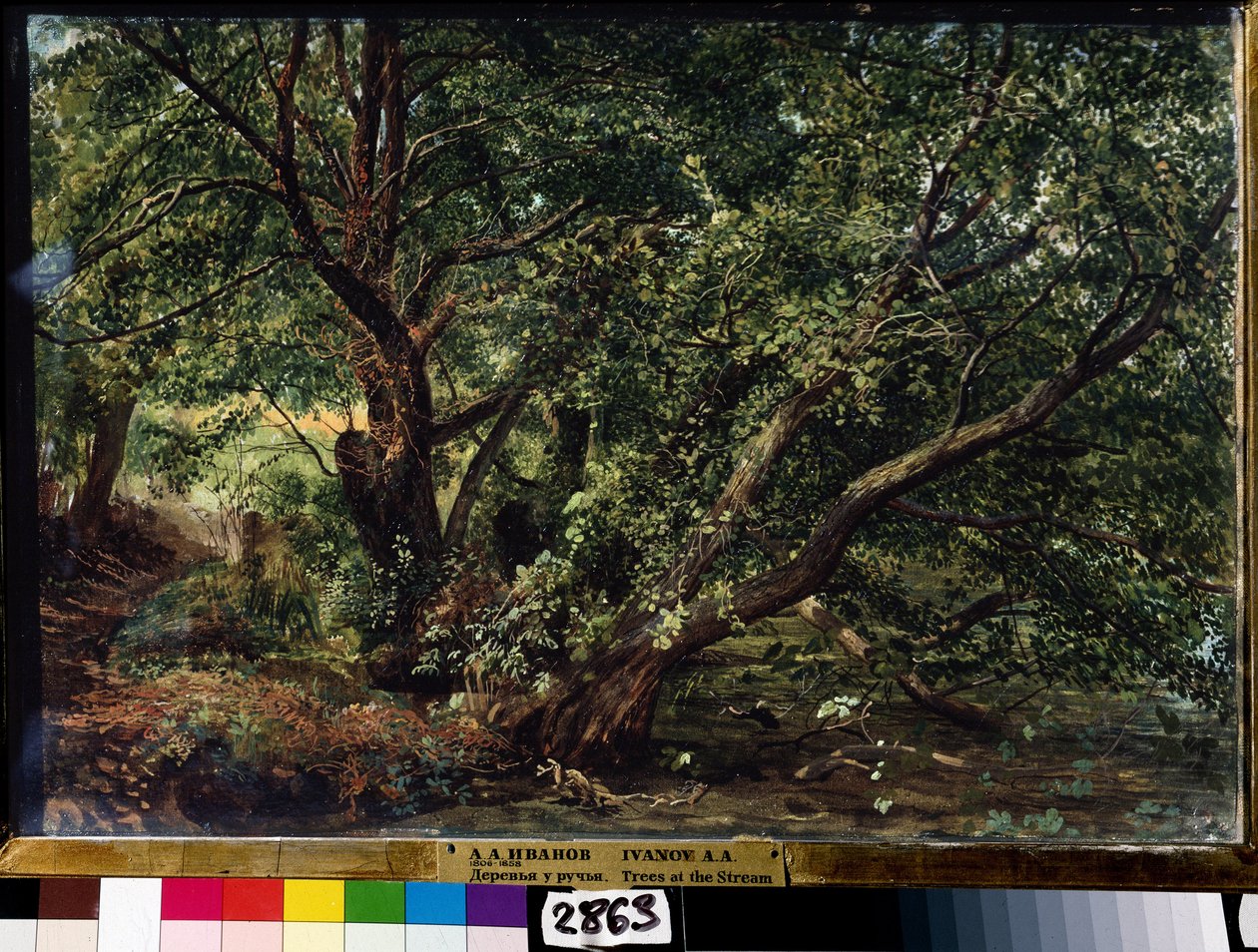 Les arbres de la rivière - Aleksandr Andreevich Ivanov