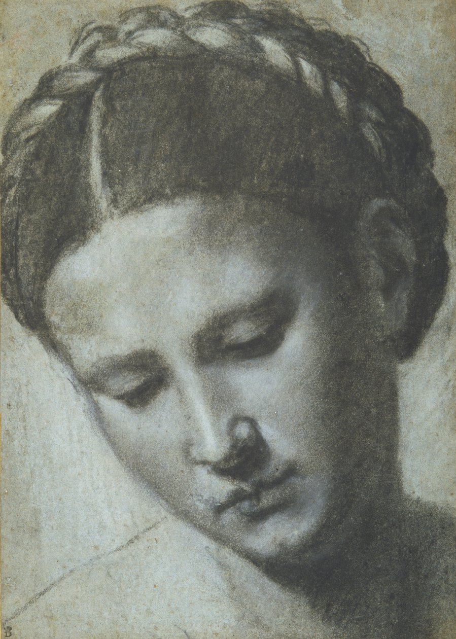 Tête de femme avec cheveux tressés - Alessandro Bonvicino Moretto